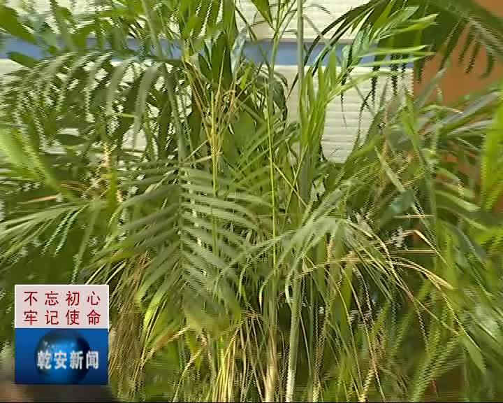 20191031新闻