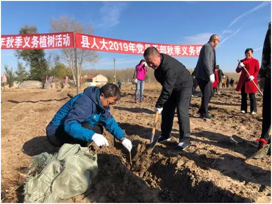 县人大常委会组织机关党员深入沈洋镇开展义务植树活动