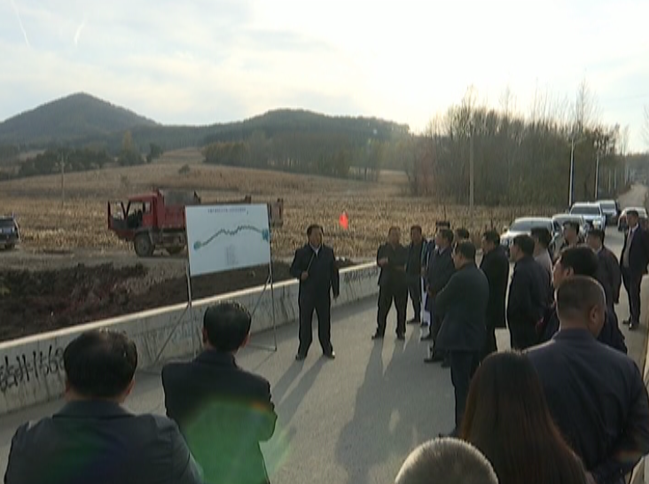 市纪委市监委组织市直相关部门来我区太平镇小石村调研