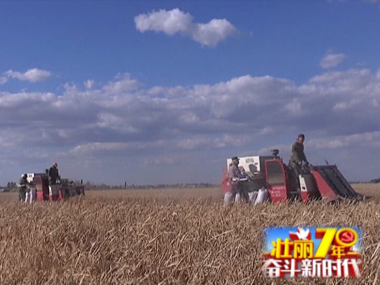 新中国成立70周年：我区农业生产实现全程机械化