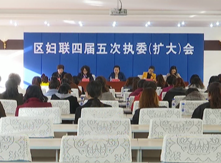 区妇联召开四届五次执委(扩大)会议