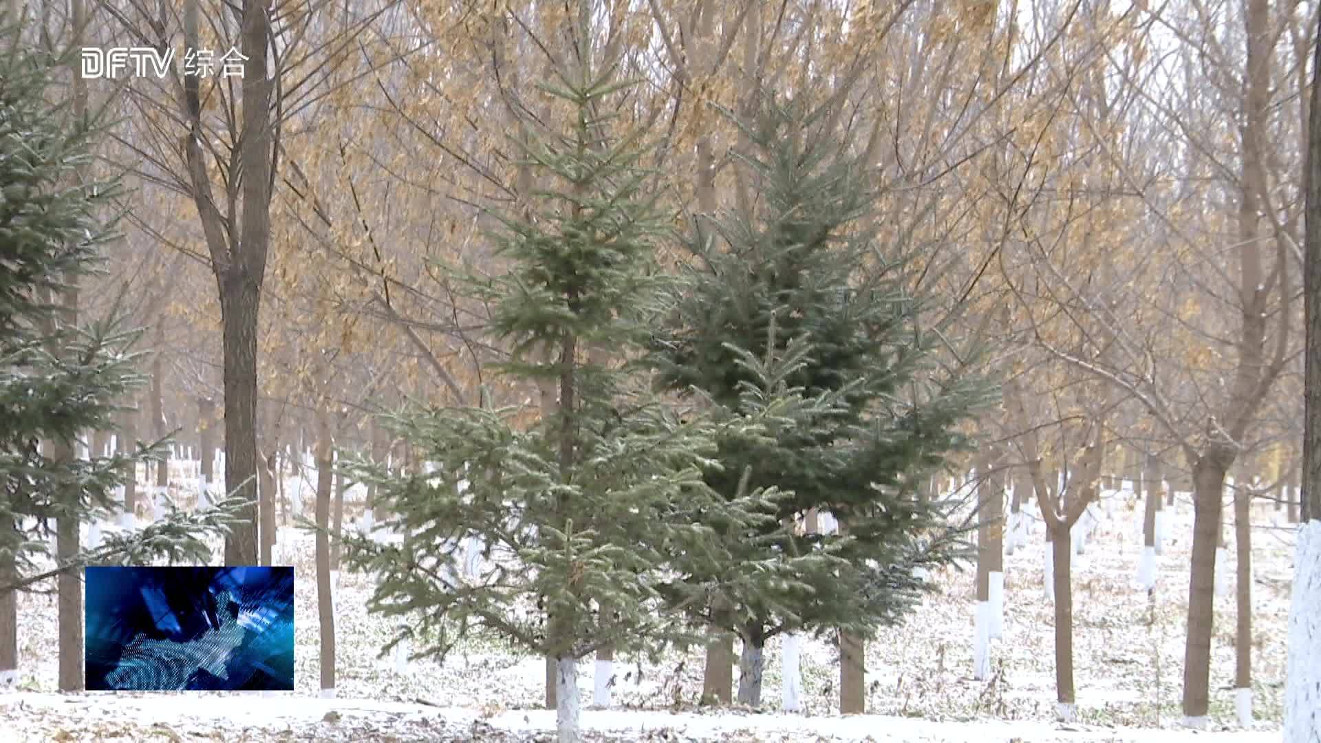 我县迎来入冬第一场雪