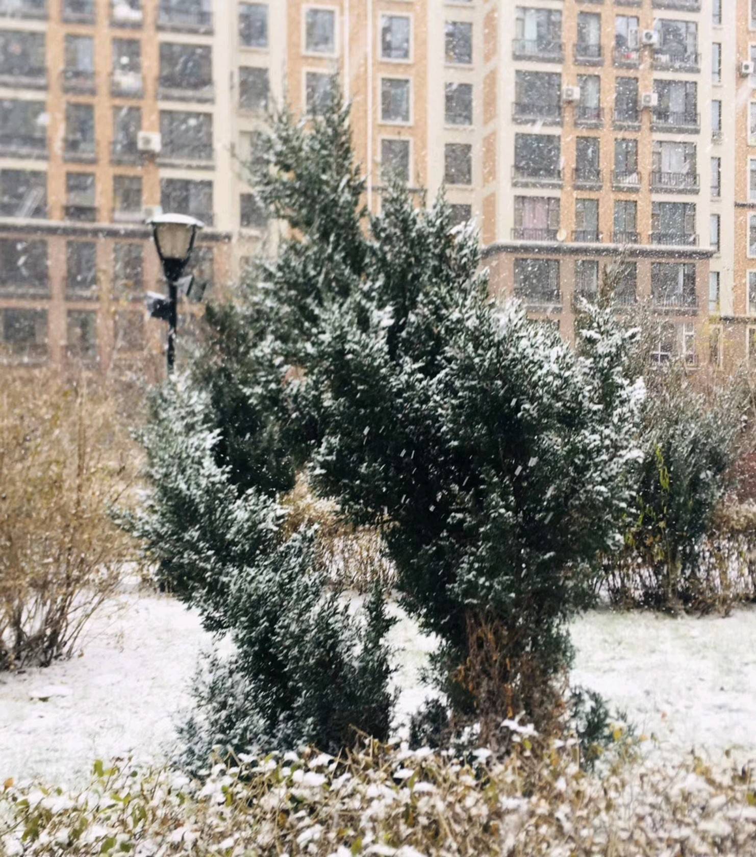 冬天来了，你换雪地轮胎了吗？