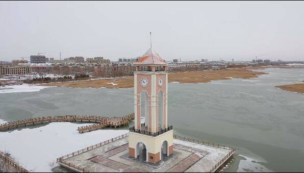 冬雪纷飞至 银装扮镇赉