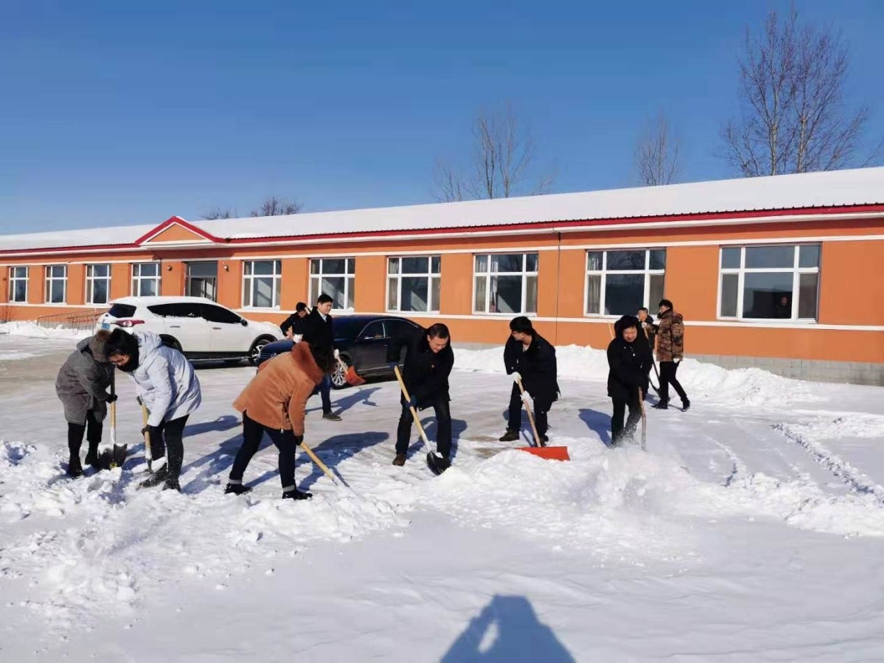 【不忘初心 牢记使命】大兴镇机关党员干部为社会福利服务中心清雪除冰