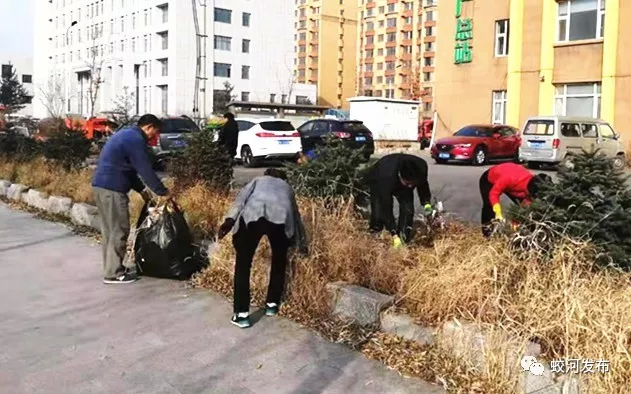 蛟河市农业综合执法队组织党员干部开展义务劳动