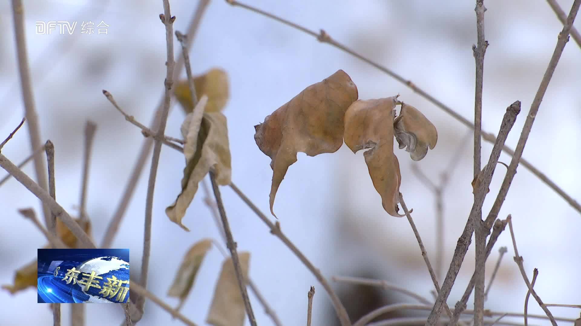 “小雪”来临  气温将逐渐下降