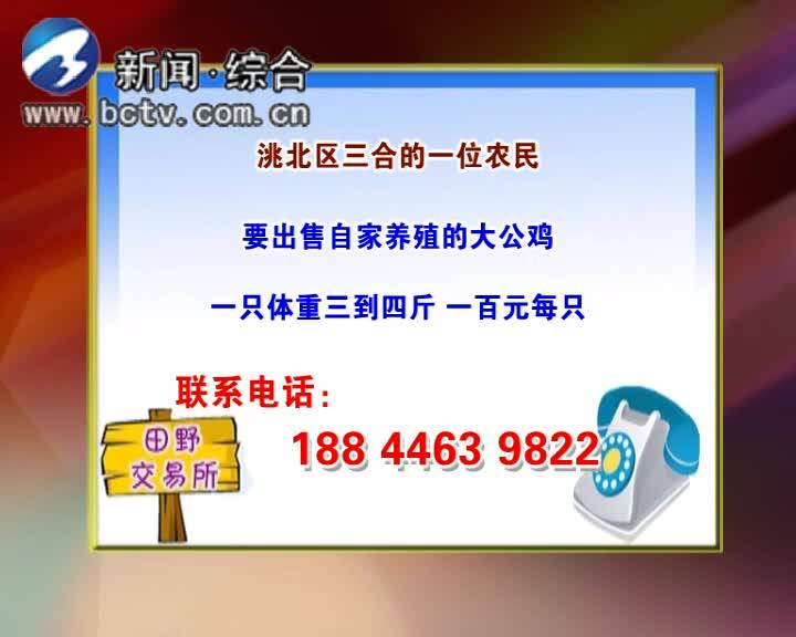 11月25日 乡约黑土地（下）