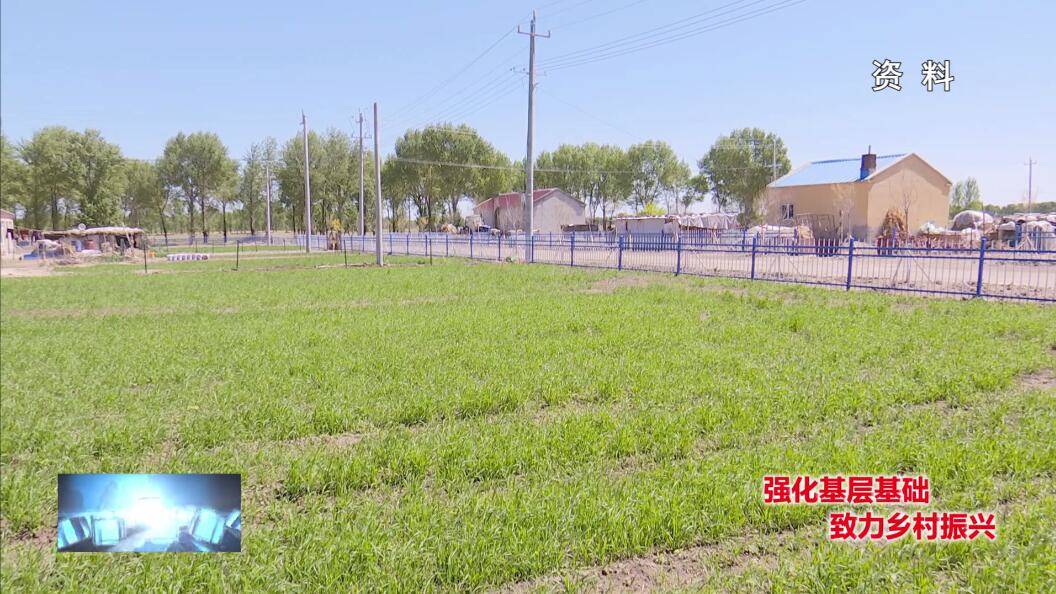 强化基层基础 致力乡村振兴:哈吐气蒙古族乡庭院经济品牌