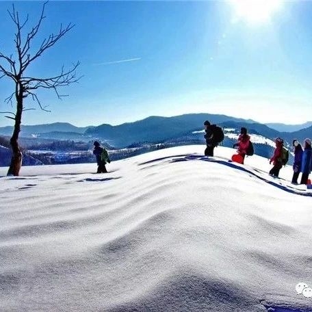 啥是粉雪？这样问的一定不是吉林人！粉雪节又要来啦~