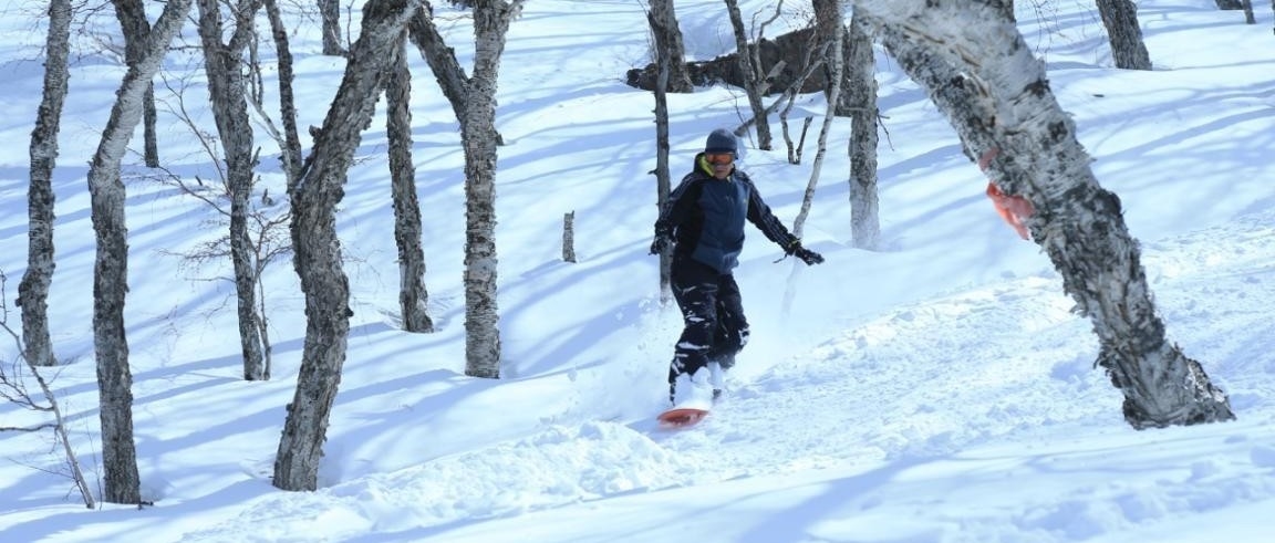 文化打底 粉雪生金！长白山多举措发展冰雪经济