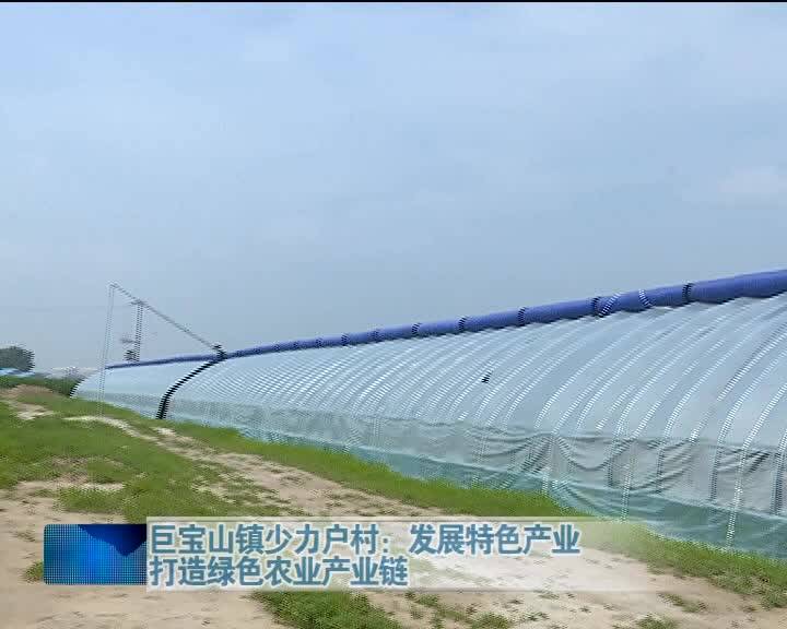 【脱贫攻坚进行时】巨宝山镇少力户村：发展特色产业  打造绿色农业产业链