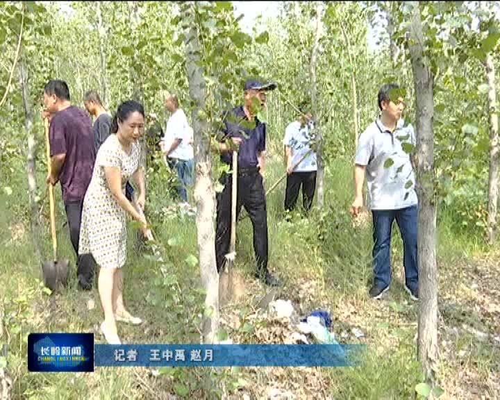 【创卫生城市 建美丽家园】长岭镇开展白色垃圾专项清理  掀起全民“创卫”新高潮