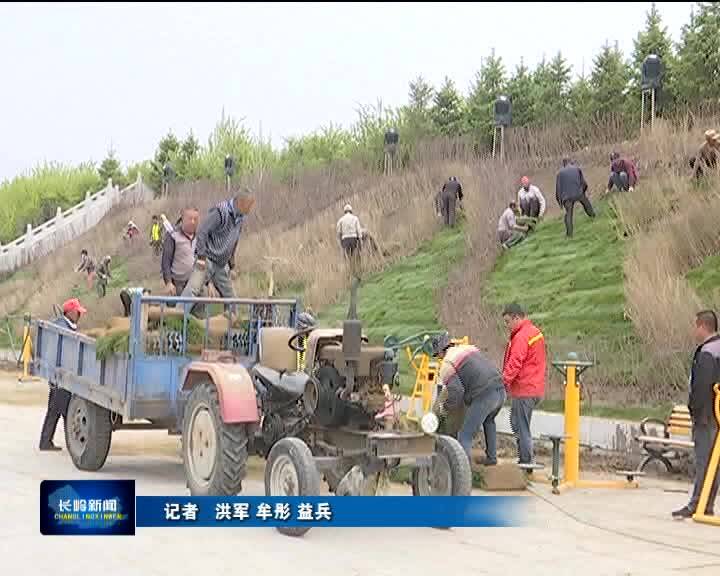 【人居环境整治进行时】龙源山绿化改造添新颜
