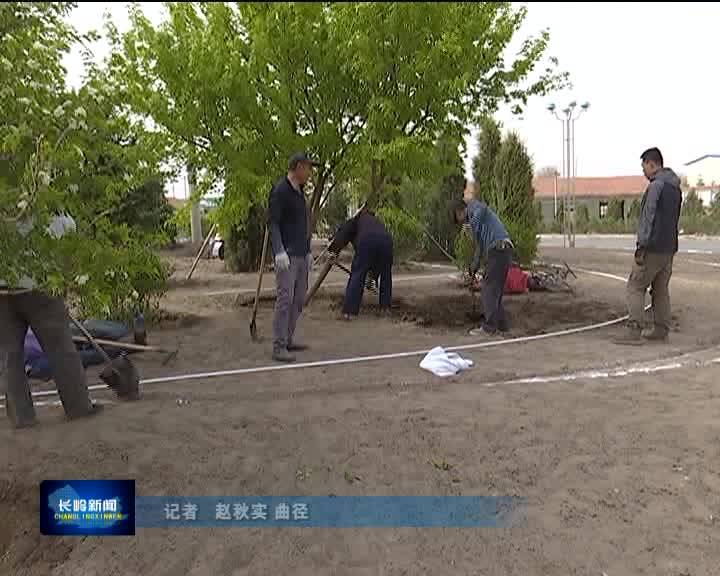 【人居环境整治进行时】县园林所对英雄广场实施绿化改造工程