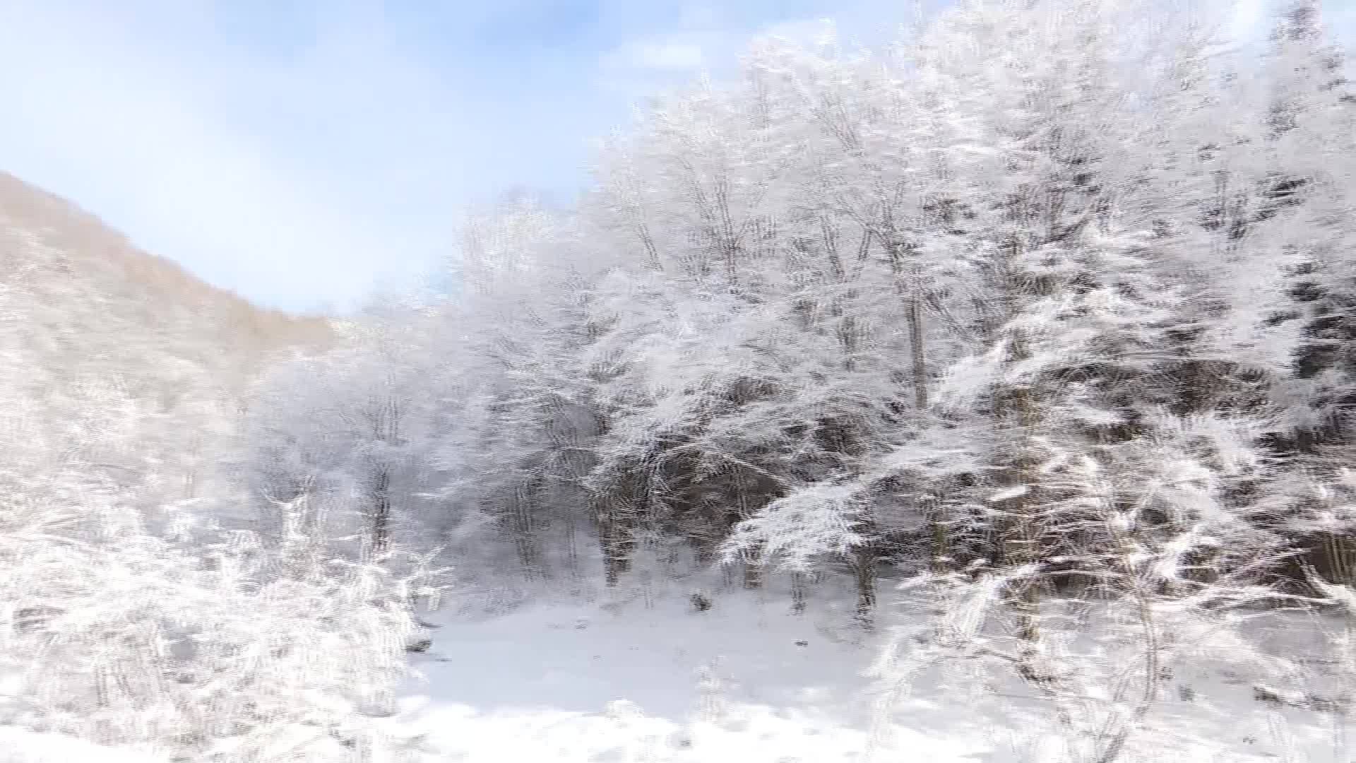 穿越蚂蚁河的冰雪乡路（11月27日首播）