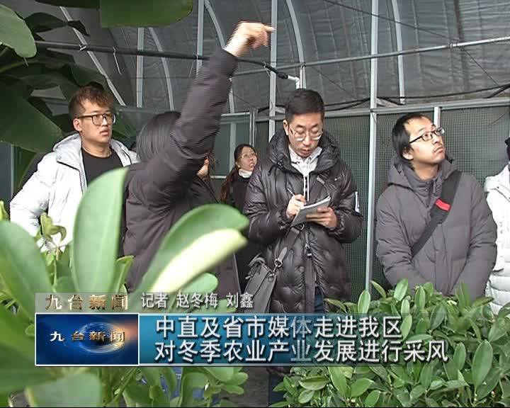 中直及省市媒体走进九台区对冬季农业产业发展进行采风