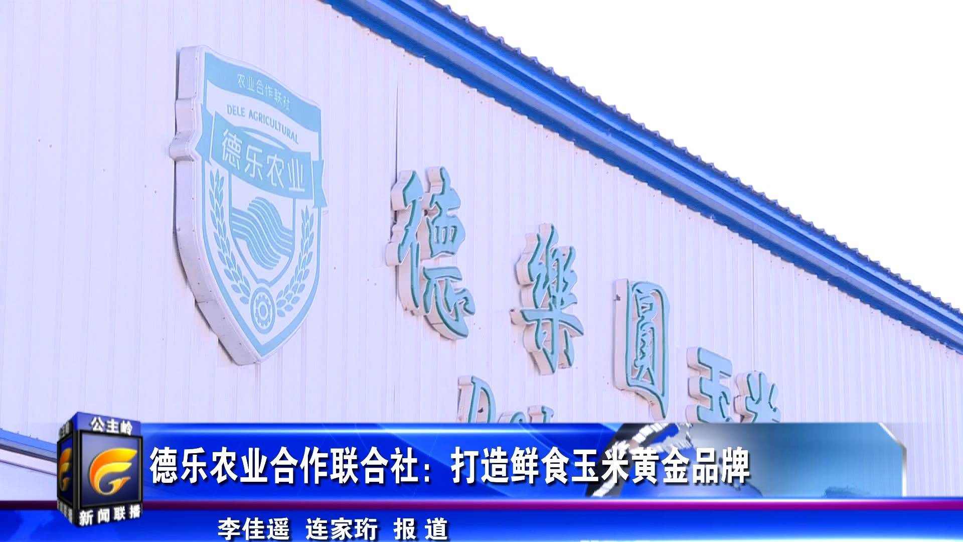 德乐农业合作联合社：打造鲜食玉米黄金品牌