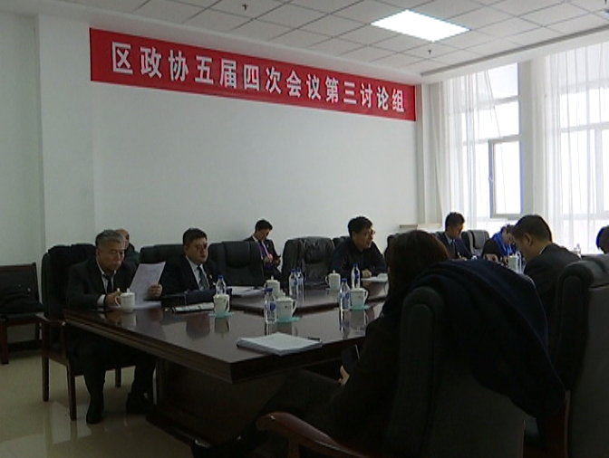 区政协委员分组讨论政府工作报告等五个报告（协商稿）