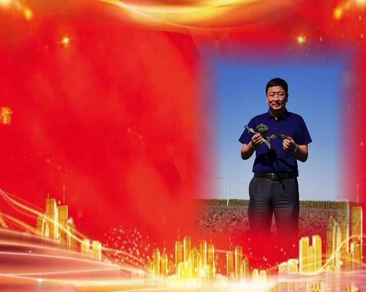 长岭新闻12月9日