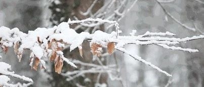 珲春：吉林省各城市降雪量 这里下的最大！！！