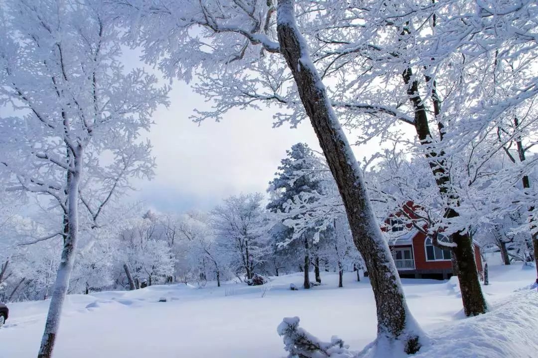 这里雪花  好自在