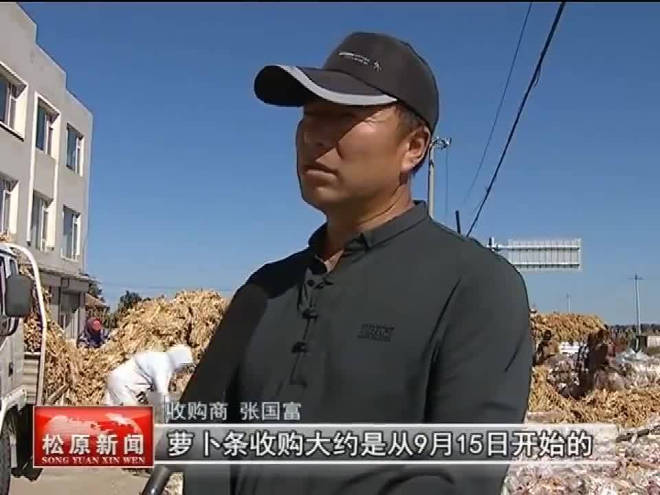 新安镇：“五辣”产业打造新时代发展新引擎2019年10月6日