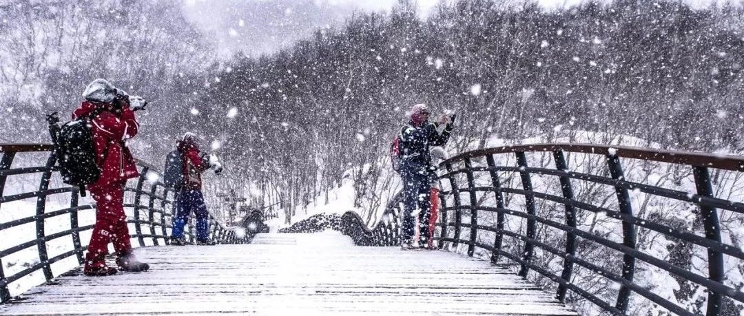 第二届长白山粉雪节特色亮点抢先看！