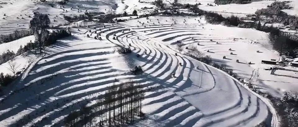 辉南雪景：雪村松岭