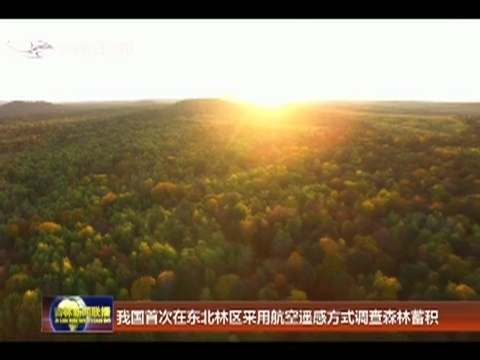 我国首次在东北林区采用航空遥感方式调查森林蓄积
