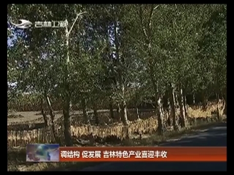 调结构 促发展 吉林特色产业喜迎丰收