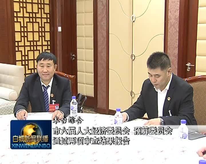 市六届人大经济委员会 预算委员会通过两项审查结果报告