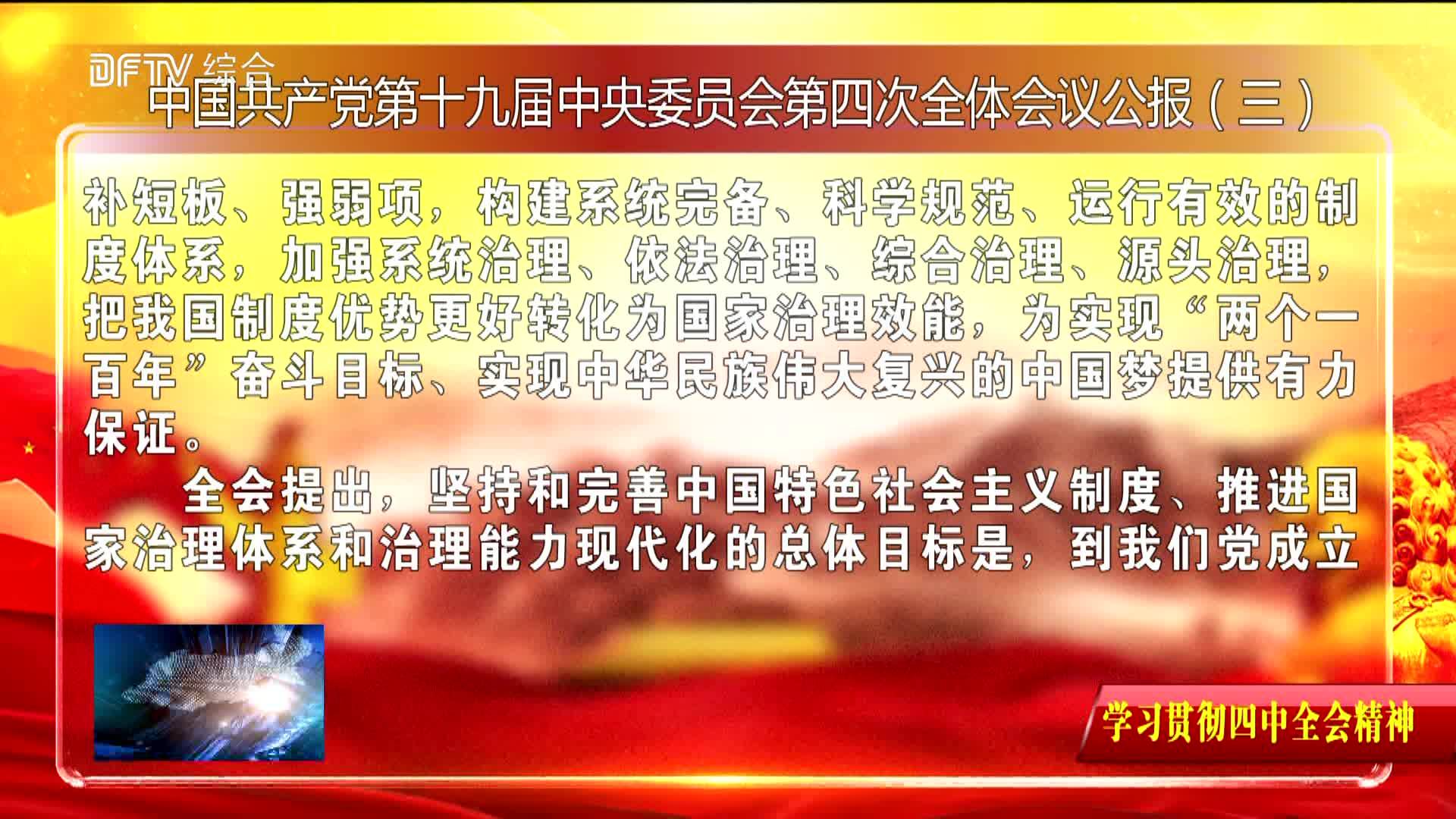 【学习贯彻四中全会精神】中国共产党第十九届中央委员会第四次全体会议公报（三）