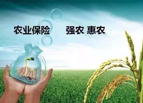 我国农业保险累计支付赔款超2400亿元