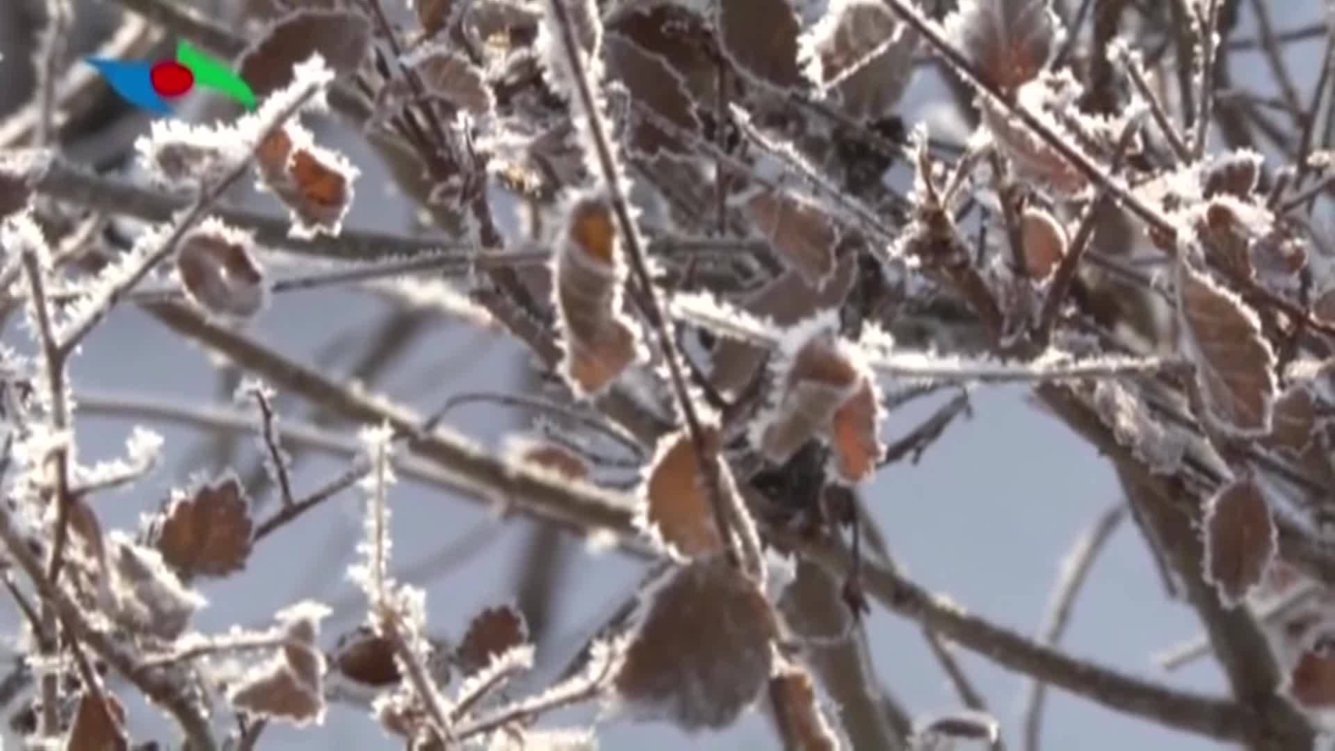 雾凇风光