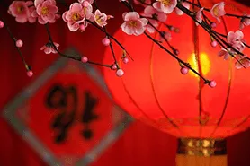 长岭县融媒体中心向全县人民拜年