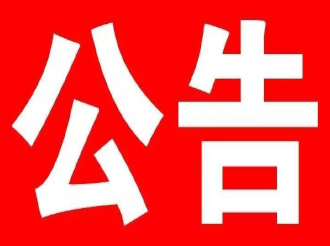 临江市人民政府公告