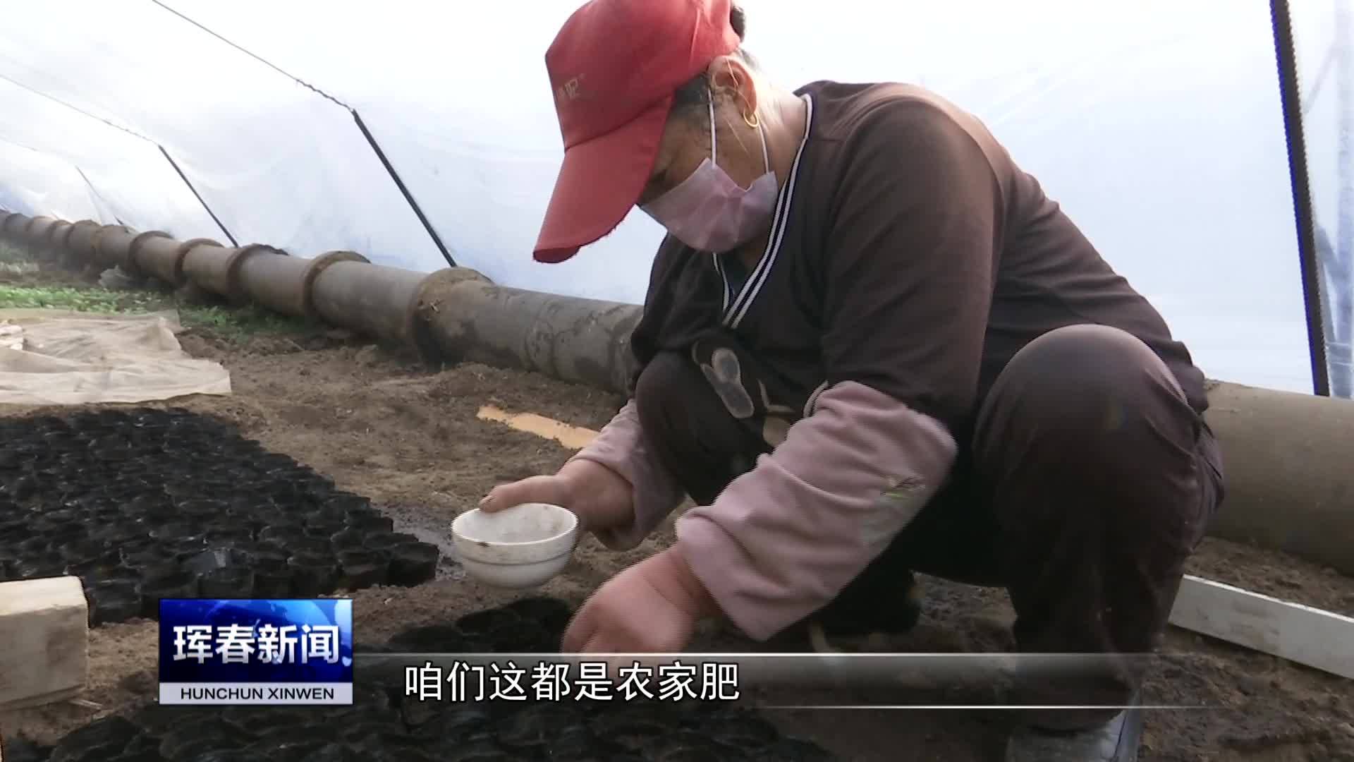 珲春：大棚蔬菜长势好市场供应后劲足