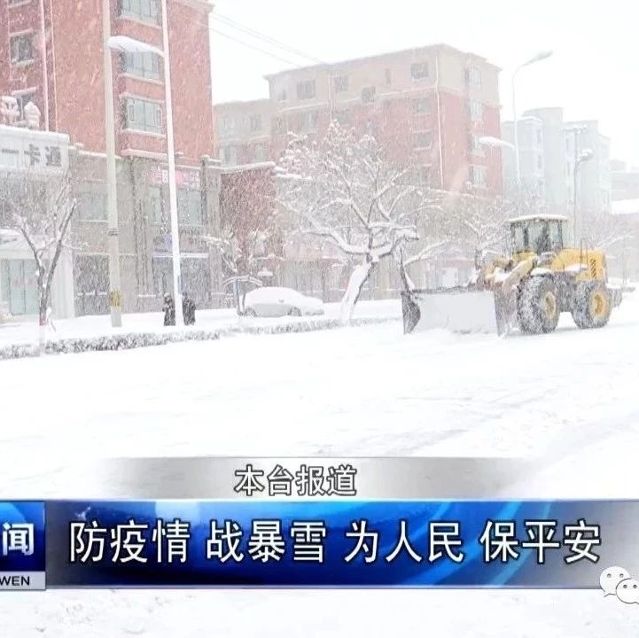 防疫情 战暴雪 为人民 保平安