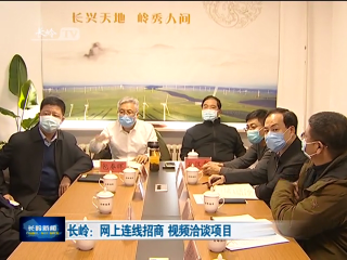 长岭：网上连线招商 视频洽谈项目