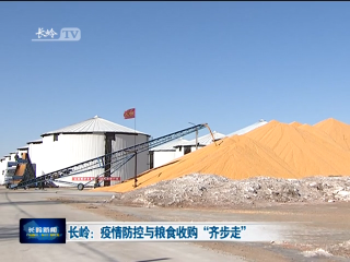 长岭：疫情防控与粮食收购“齐步走”