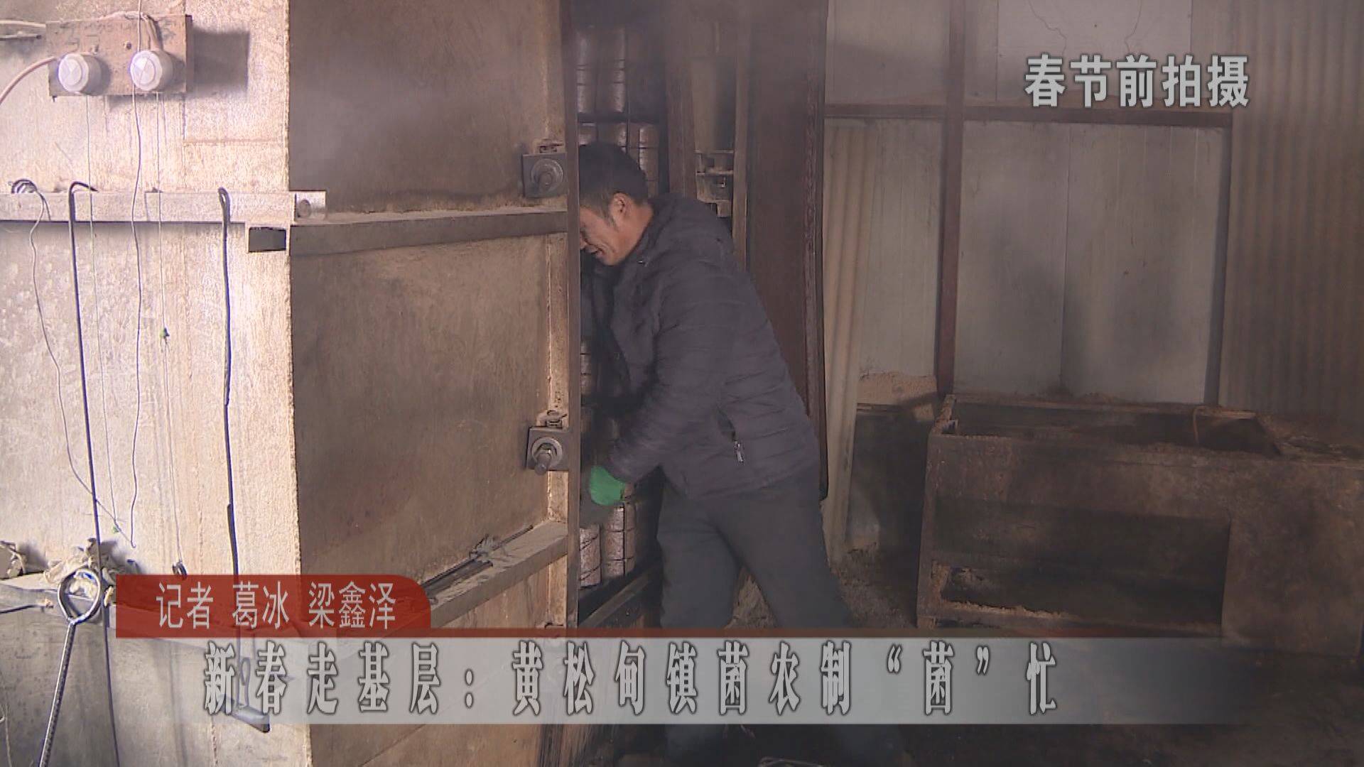 新春走基层：黄松甸镇菌农制“菌”忙