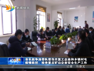 2月20日 市长赵争涛带队督导开复工企业和乡镇村屯疫情防控、检查重点矿山企业安全生产工作