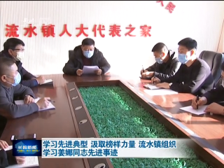 学习先进典型 汲取榜样力量 流水镇组织学习姜娜同志先进事迹