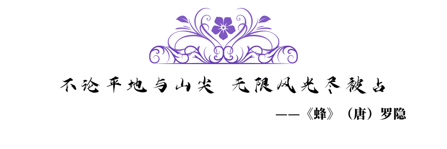 0221@凡科快图.png 0221@凡科快图.png