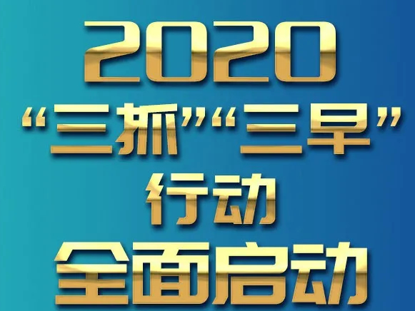 奋力夺取疫情防控和全面建成小康社会双胜利！2020“三抓”“三早”行动全面启动