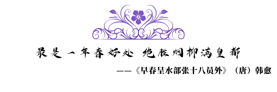 0227@凡科快图.png 0227@凡科快图.png