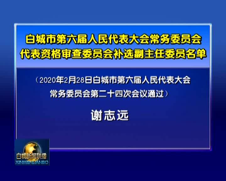 白城市第六届人民代表大会常务委员会代表资格审查委员会补选副主任委员名单