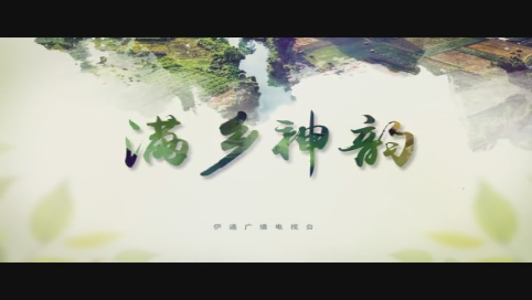 2020年3月8日满乡神韵