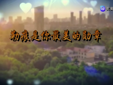 原创公益歌曲——《勒痕是你最美的勋章》